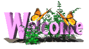 welcomegry_transp.gif